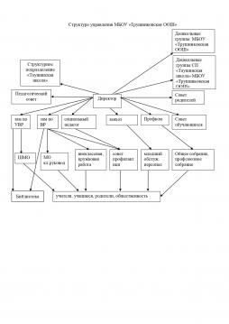 Структура управления МБОУ "Трушниковская ООШ"